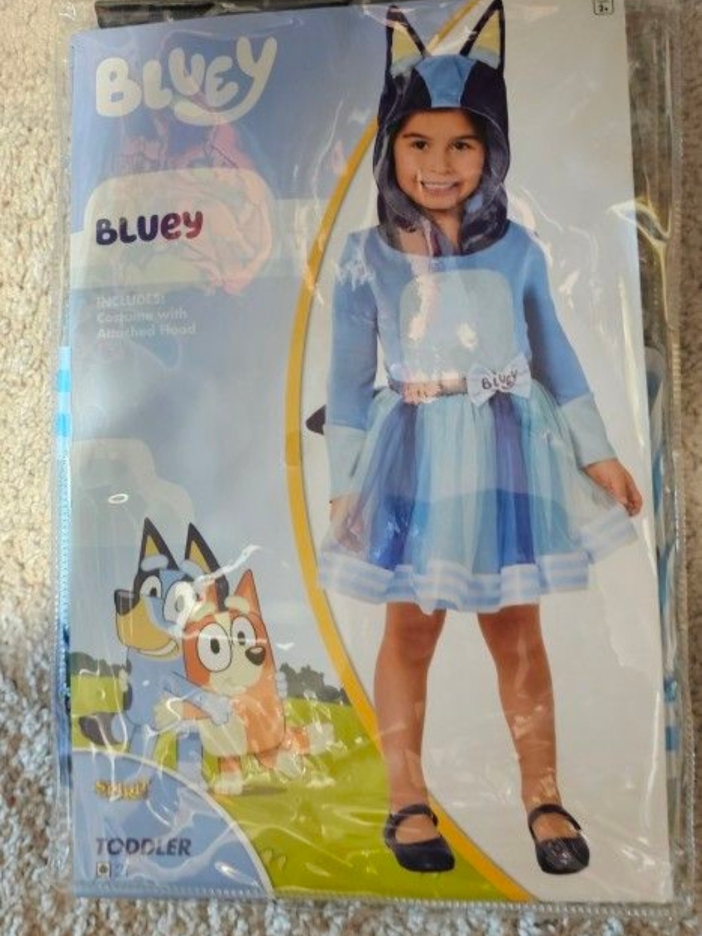 Girls Blue Costume with Hood - Brand
